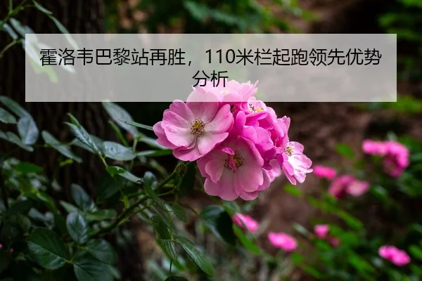 霍洛韦巴黎站再胜，110米栏起跑领先优势分析