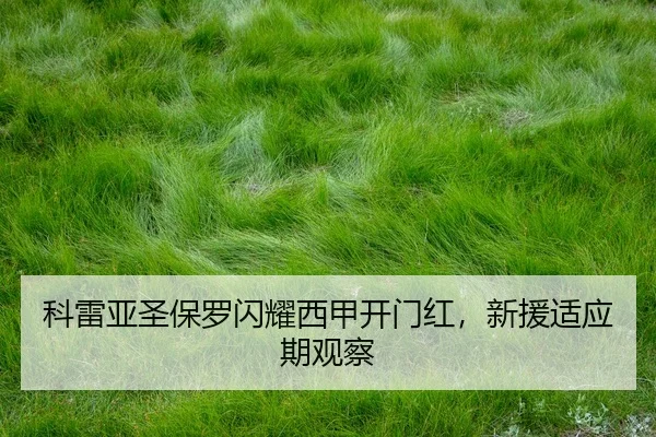 ke-lei-ya-sheng-bao-luo-shan-yao-xi-jia-kai-men-hong-xin-yuan-shi-ying-qi-guan-cha-2-318.jpg
