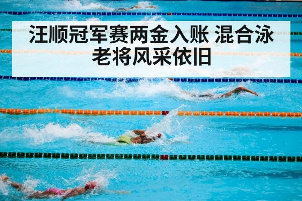 汪顺冠军赛两金入账 混合泳老将风采依旧